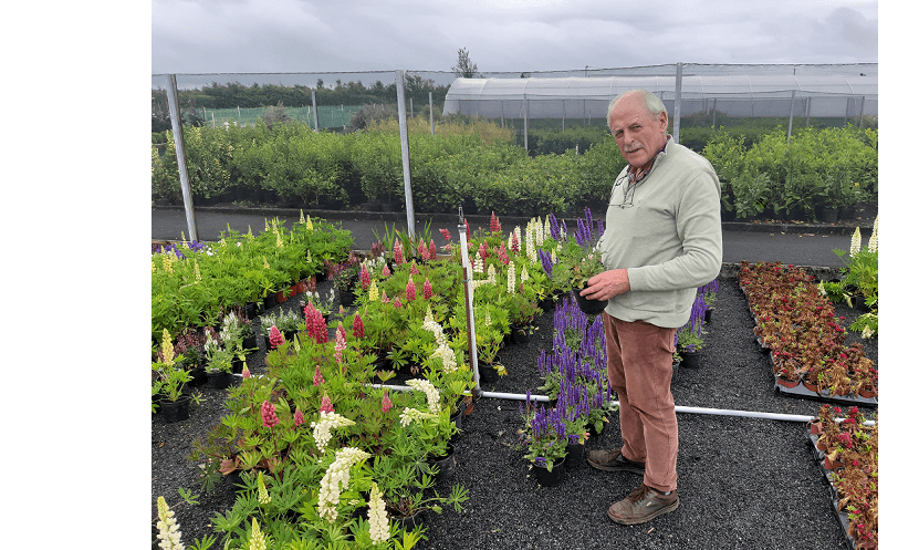 Madden Nurseries Galway