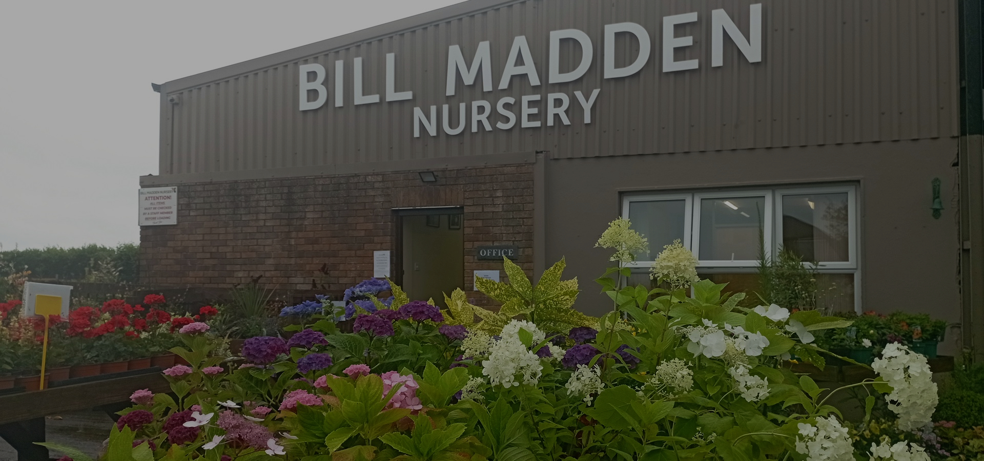 Madden Nurseries Galway