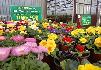 Madden Nurseries Galway